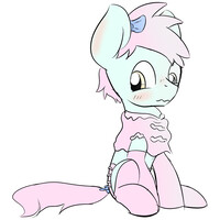 Shy Bow