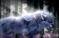 Dark Forest