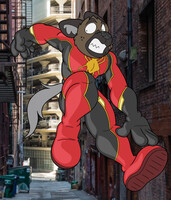 Haida 19b