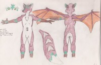 Dragon F. Orca Ref in color!