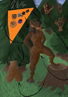 Worgen Sona Ref