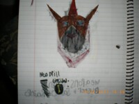 Ryu's mask collection:Neos(The all-elemental hero)