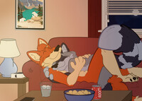 Comfy Evenings