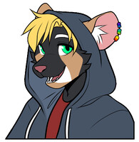 Hoodie for masterjames