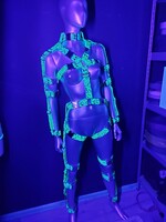 Full body harness