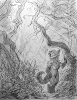 Walk in the woods