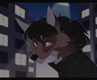 Cold city