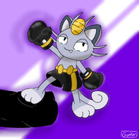 The Cat's knocks the bag