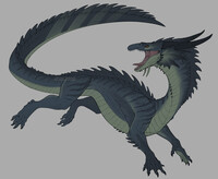 SOLD - Mermay Dragon