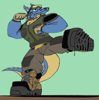 Side Kicks