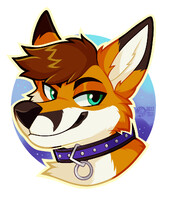 partyfox