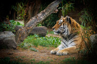 Mindlessly staring into nowhere