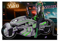 Rock n' Ride