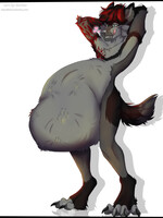 heavy belly
