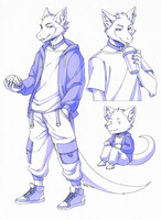 Stylish Senky