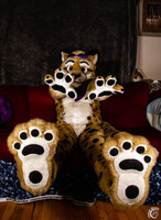Paw Day!