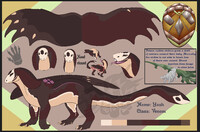 Stray stars: Yash Ref