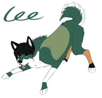 Lee Wolf