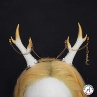 Finished custom horns