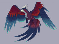 [C] Red Widow the Gryphon