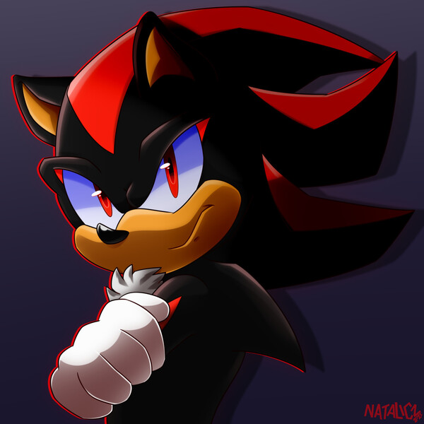 Shadow The hedgehog Fan art by Daniuxshit on DeviantArt