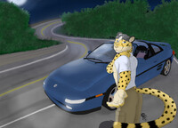 Driving through the night