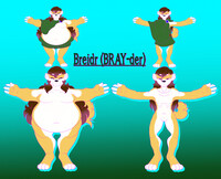 Breidr Ref
