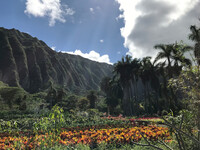 Time Spent Side by Side in the Garden