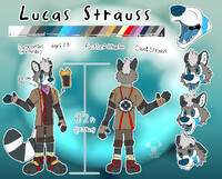 Lucas Strauss :Updated Reference: