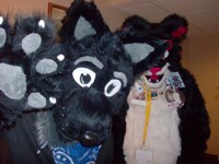 How the heck did I even take this