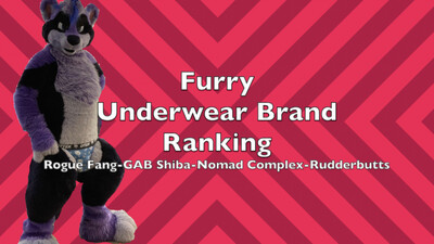 Furry Underwear Brand Ranking 