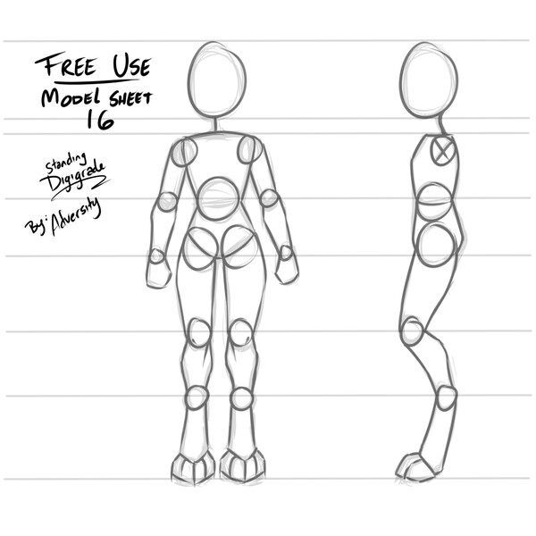 FREE Model Sheet 016: Standing Digigrade by AAMP -- Fur Affinity [dot] net