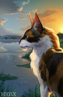 Sol returning to the lake