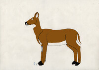 Korra turns into a Deer 2/2