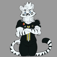 whisxes not impressed by KitKatChunKiss