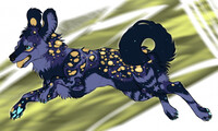 Galaxy Wild Dog Adopt [OPEN]