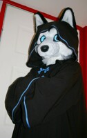 Cult of the Huskies