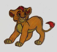 Marlu the  Lion Cub