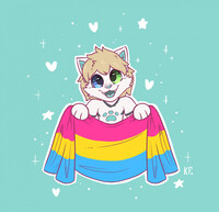 🏳️‍🌈 Pan Cat 🏳️‍🌈