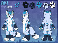 Aki Reference Sheet