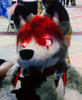 Whiplash Wolf at BLFC 2022