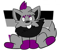 Zoruace