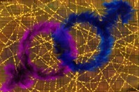 Symbols of the Sexes