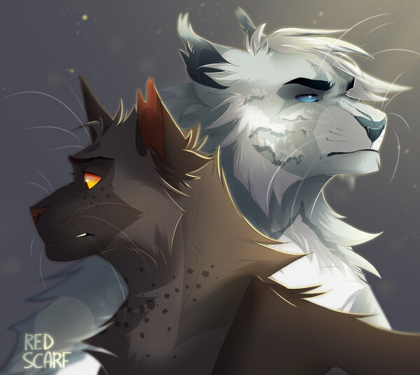 My Warrior Cats fanfiction cover by SkylinxReptile on DeviantArt