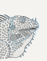 Iguana doodle