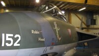 Nose Art Robin