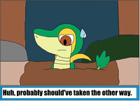 Snivy's Wrong Turn