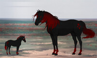 Horse Design-Transfer for help!
