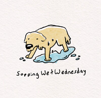 SoppingWetWednesday