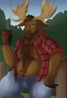 A Moose and his Coffee!